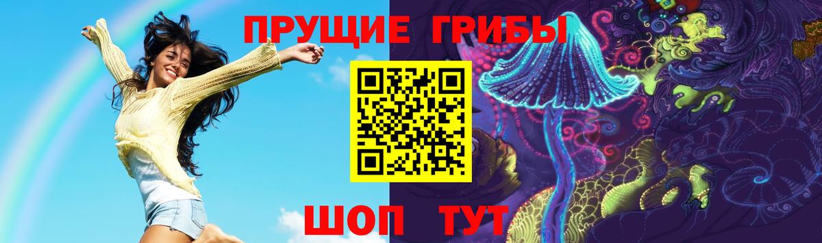 Галлюциногенные грибы GOLDEN TEACHER Сочи