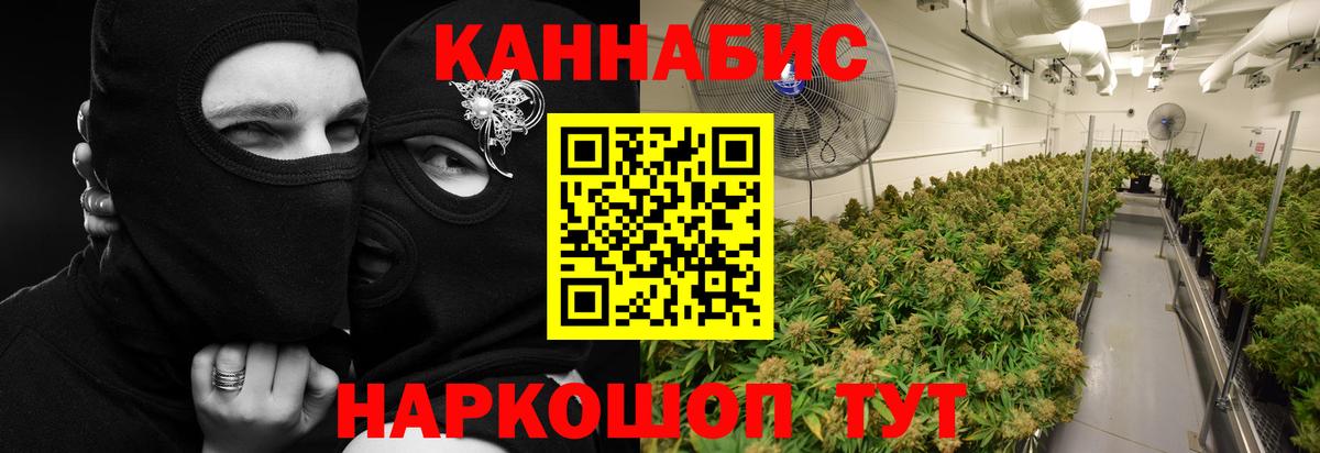 Канабис марихуана  Конопля план  Вход с VPN  Сочи  Каннабис сатива  МАРИХУАНА сатива 